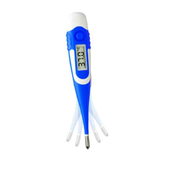 Digital Clinical Thermometer