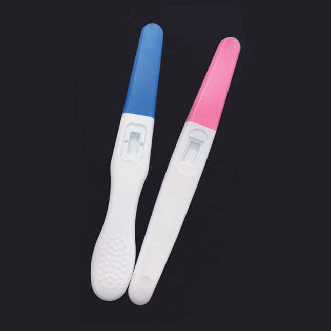 Pregnancy Rapid test