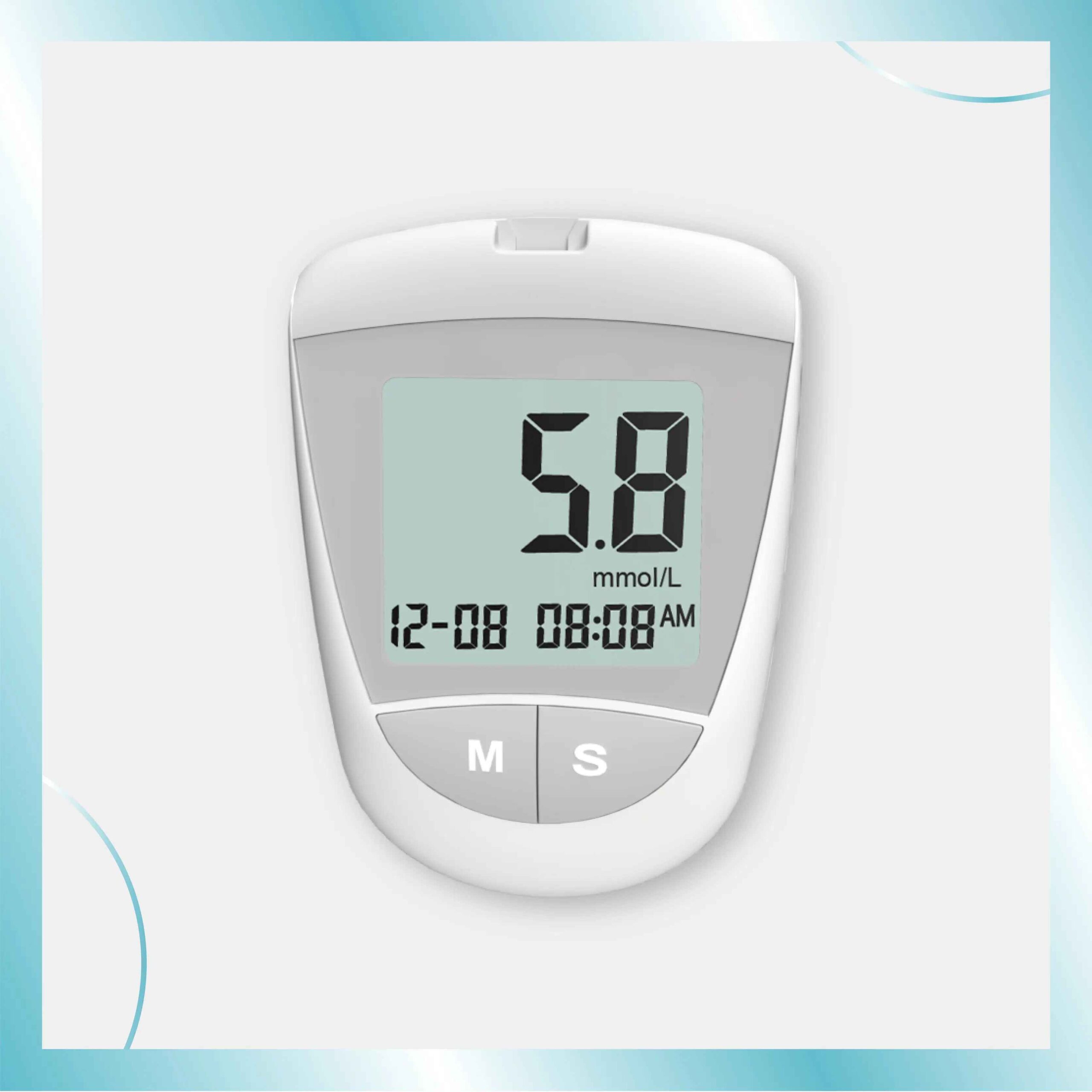 Blood Glucose Monitoring System-208