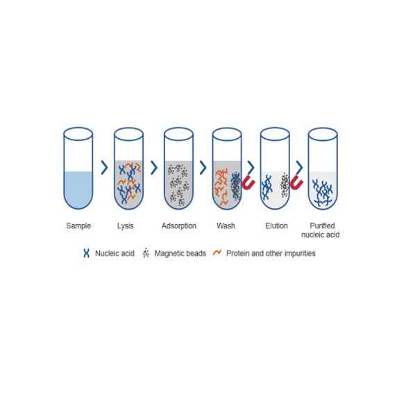 Viral Nucleic Acid Extraction Magnetic Microspheres