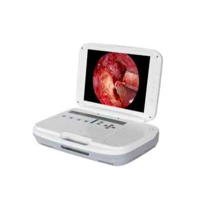 Portable Endoscopic Video System