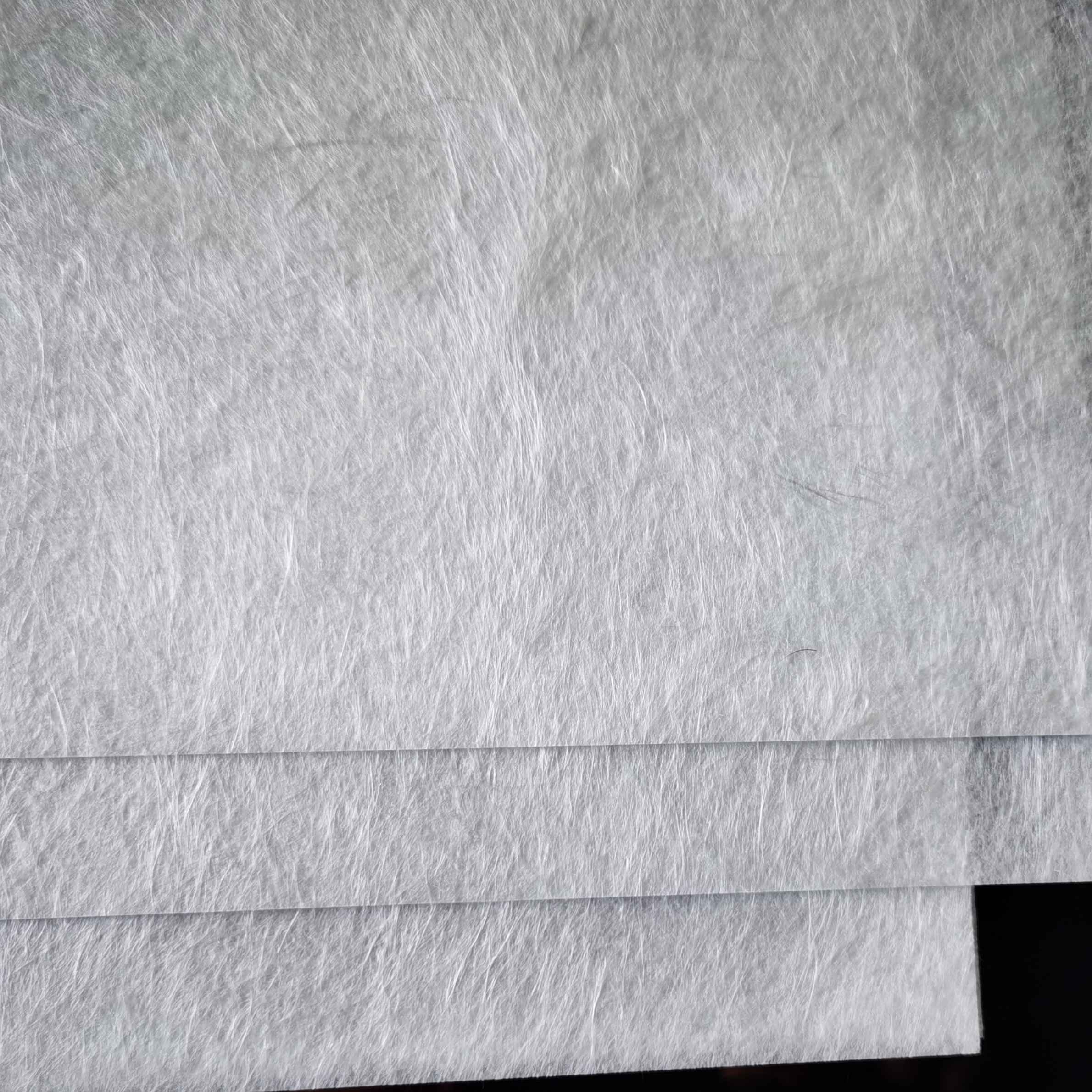 T6613 Polyester Film