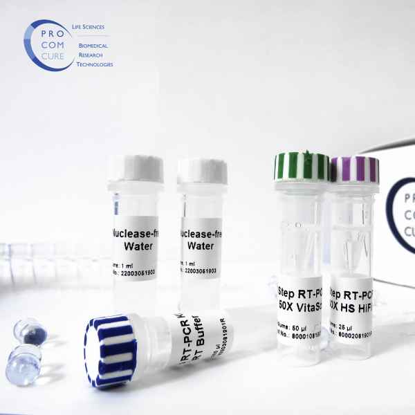 VitaScript® 1Step RT-PCR Kit