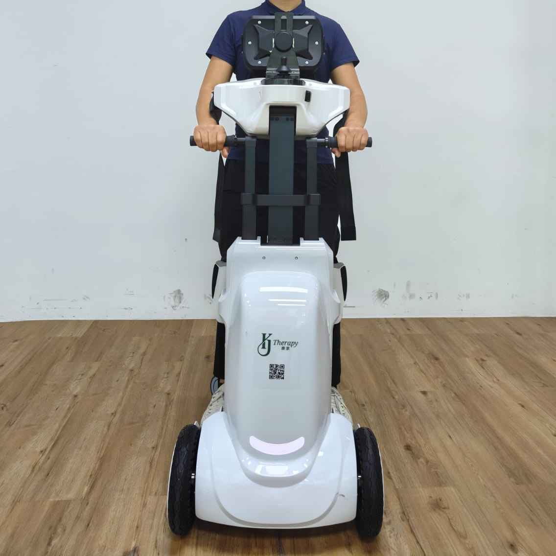 Standing robot