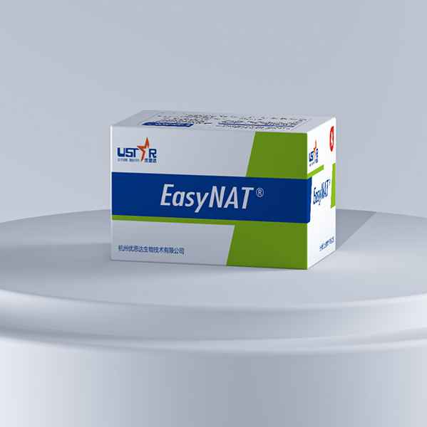 SARS-CoV-2 PCR Test Kit