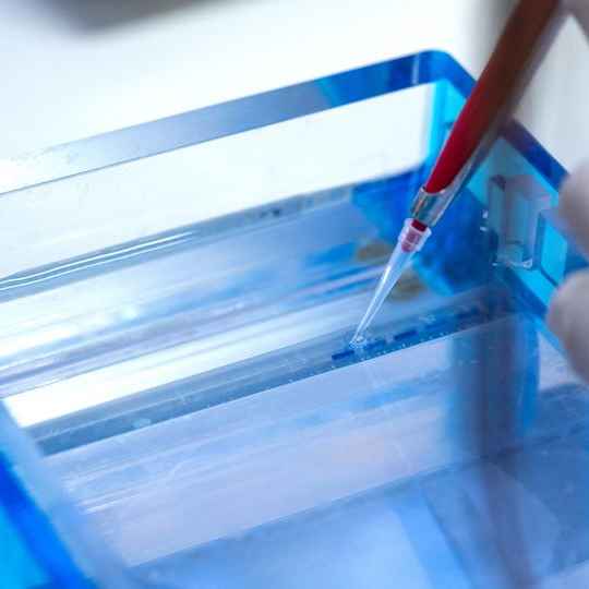 Agarose TBE mix 2.0%