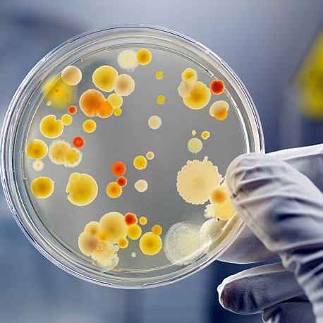 Microbiology for Energy Independence