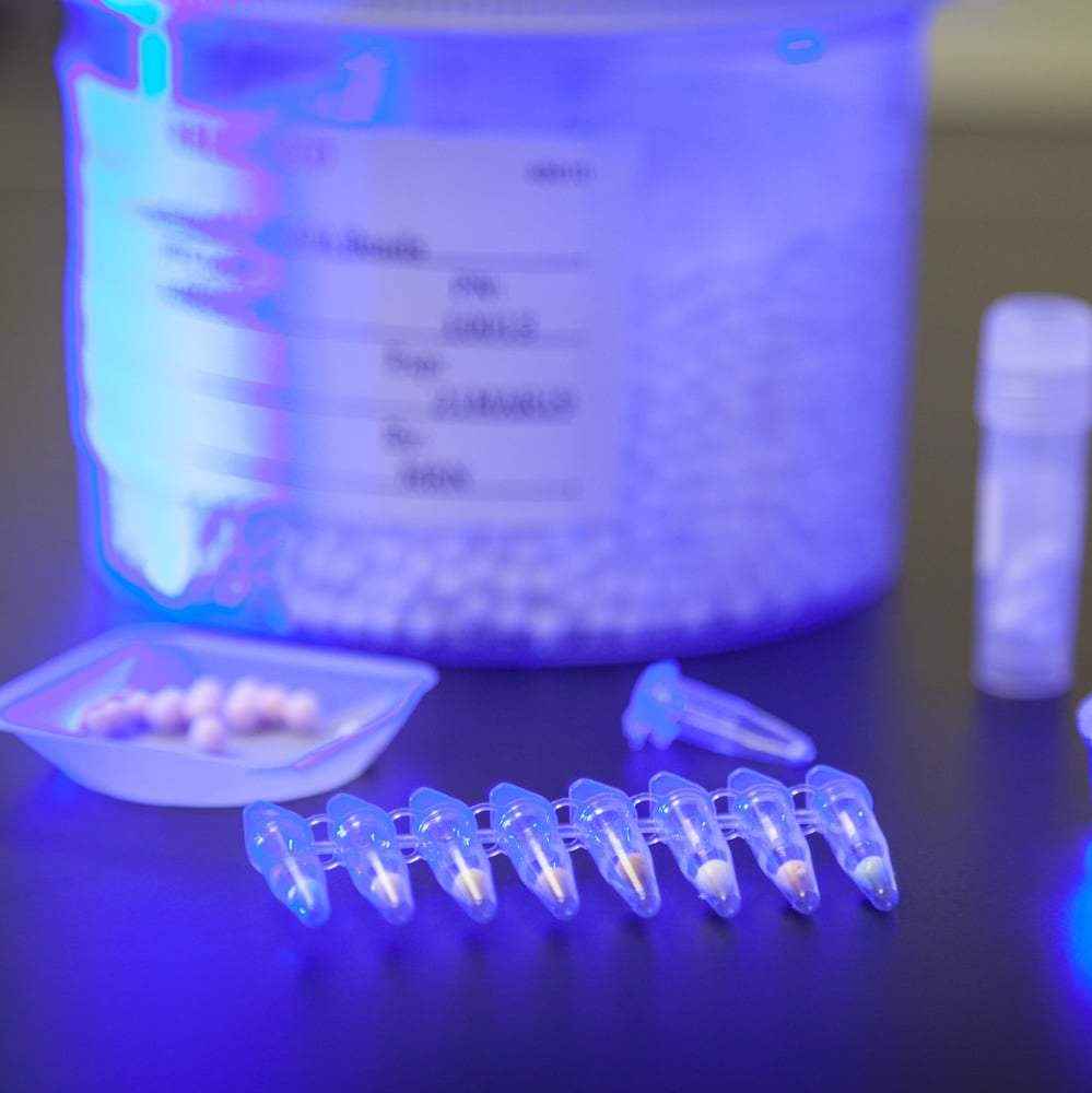Single Assay Beads