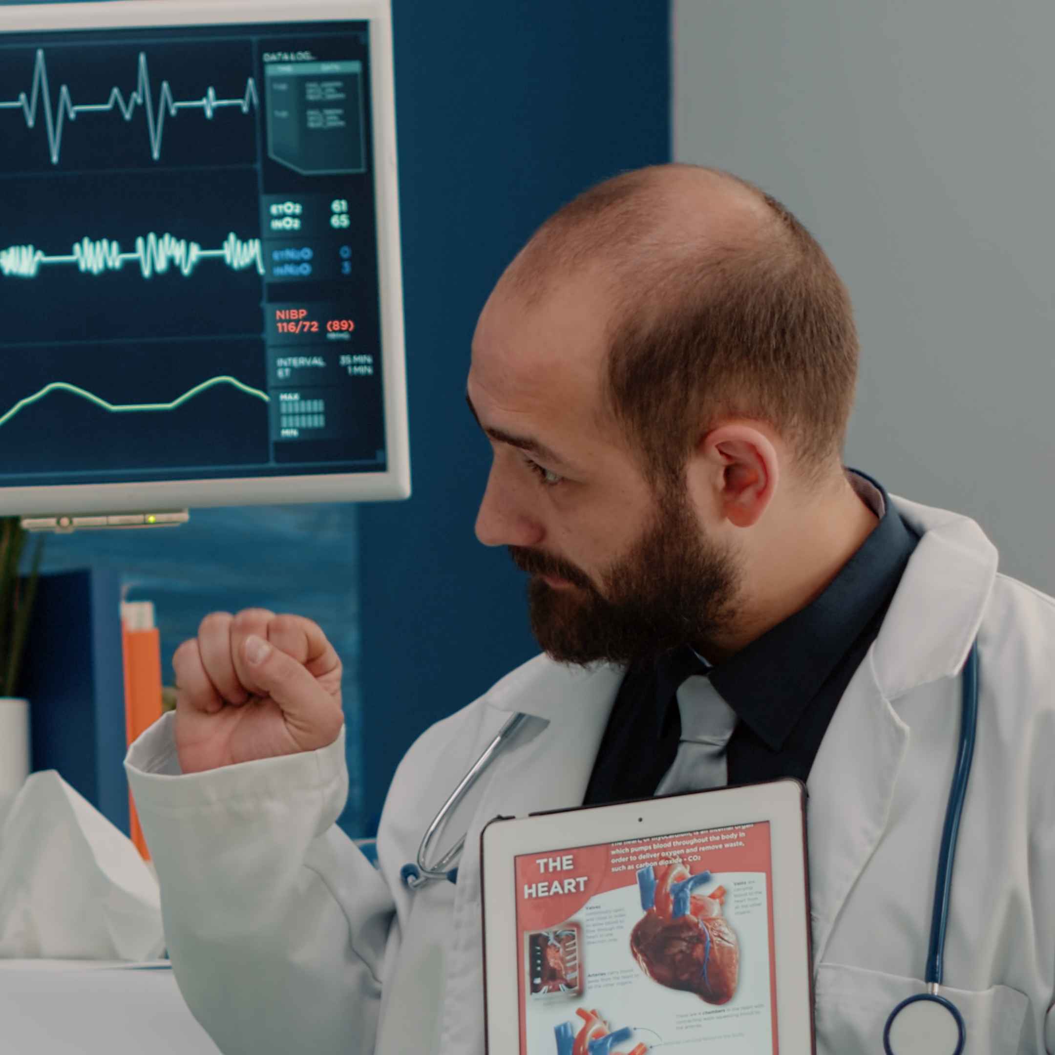 Heart Simulator
