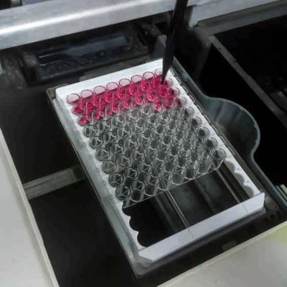 Cell-free antibody synthesis