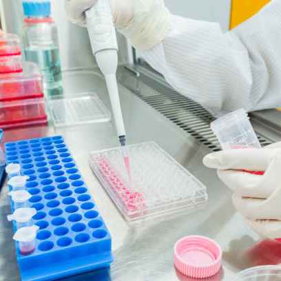 Lyophilization of LAMP - Assays