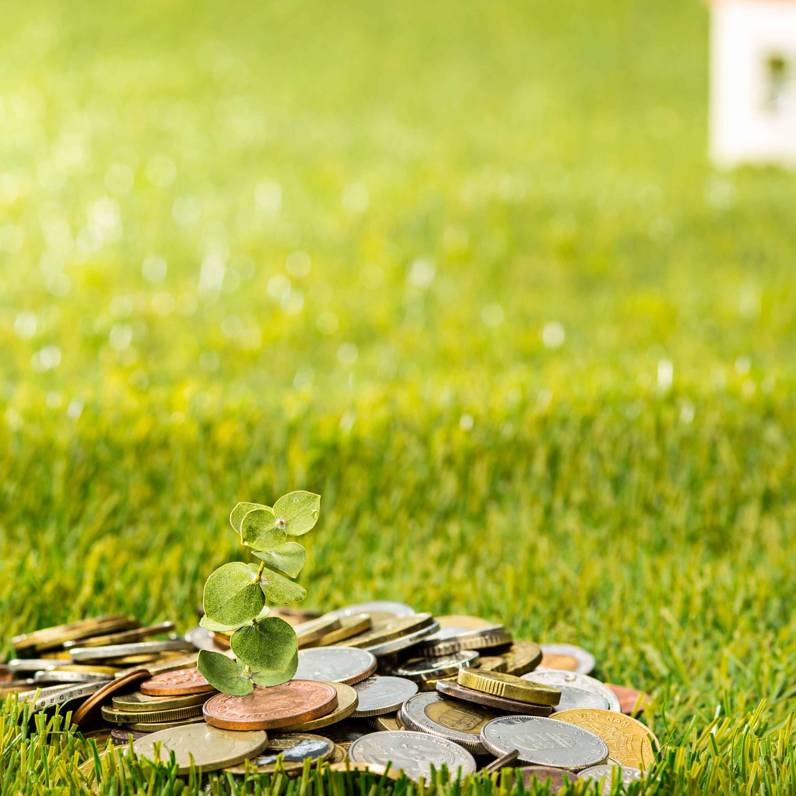 Financial Assistance for Exporters