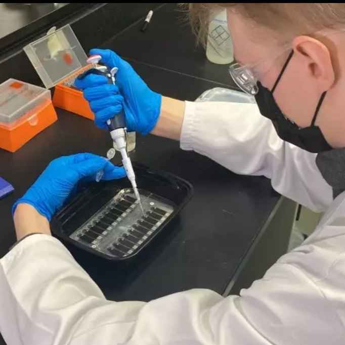 Health and Life Sciences