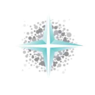 Lucida Medical Ltd