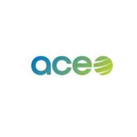 ACE Srl