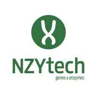 NZY Tech Ltd.