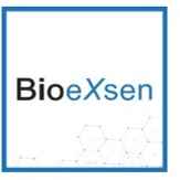 BioeXsen GmbH