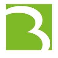 Bricon GmbH