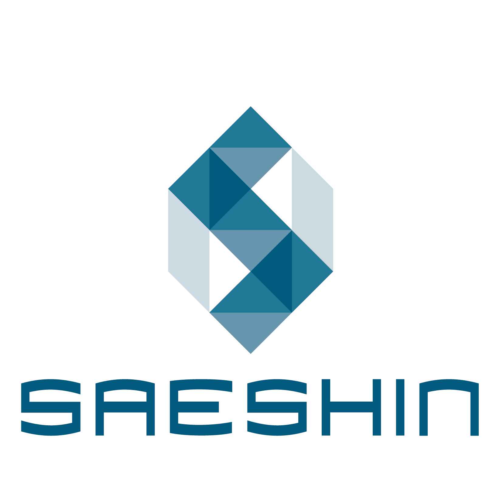 Saeshin Precision Co., Ltd.