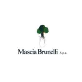 Mascia Brunelli S.p.A