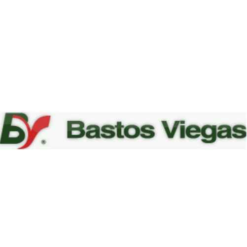 BASTOS VIEGAS ,S.A.
